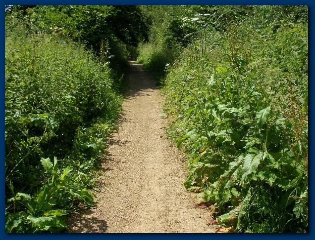 600x449 pixels (236K)